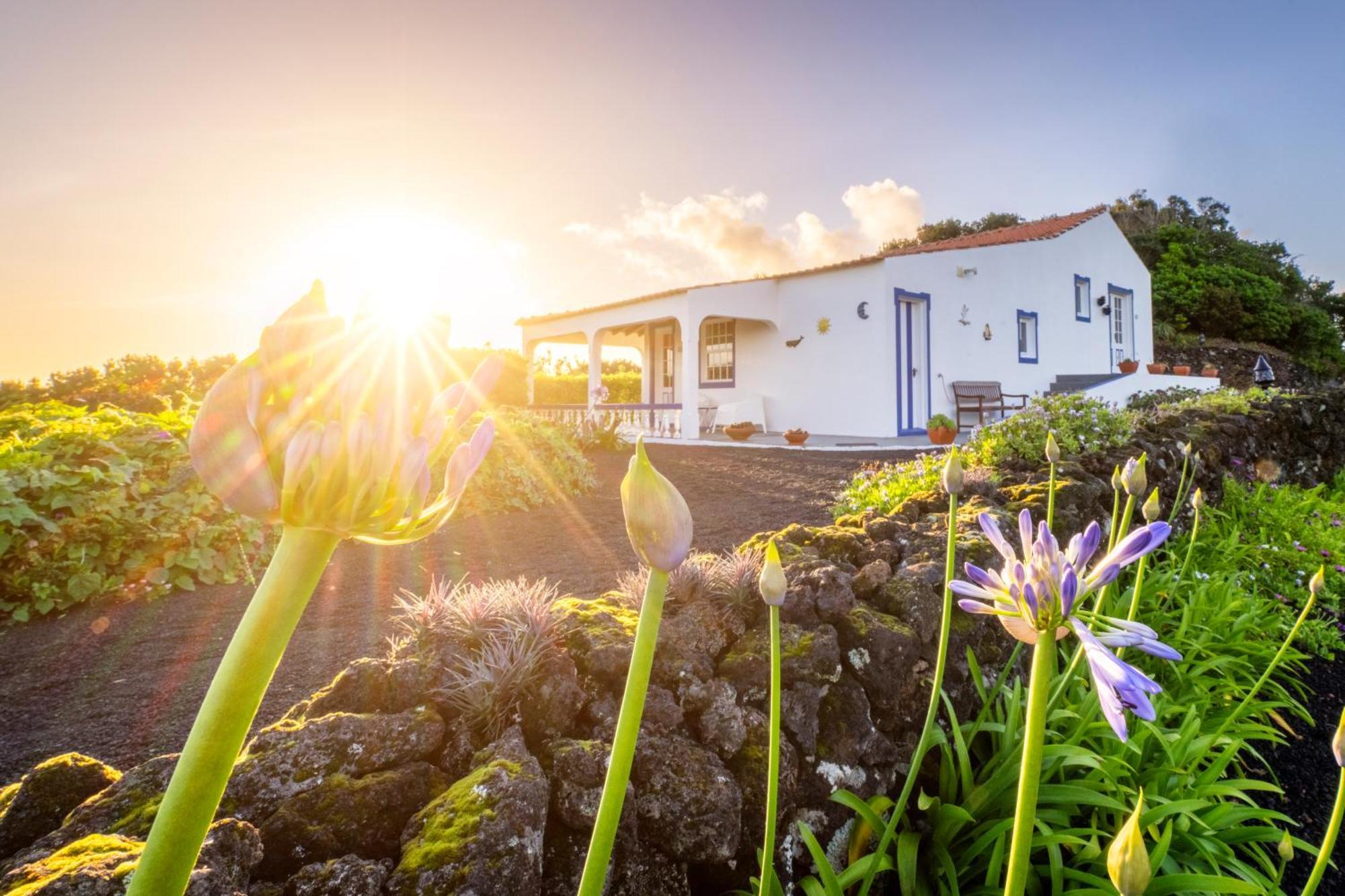 Bed and Breakfast O Zimbreiro Piedade  Exterior foto