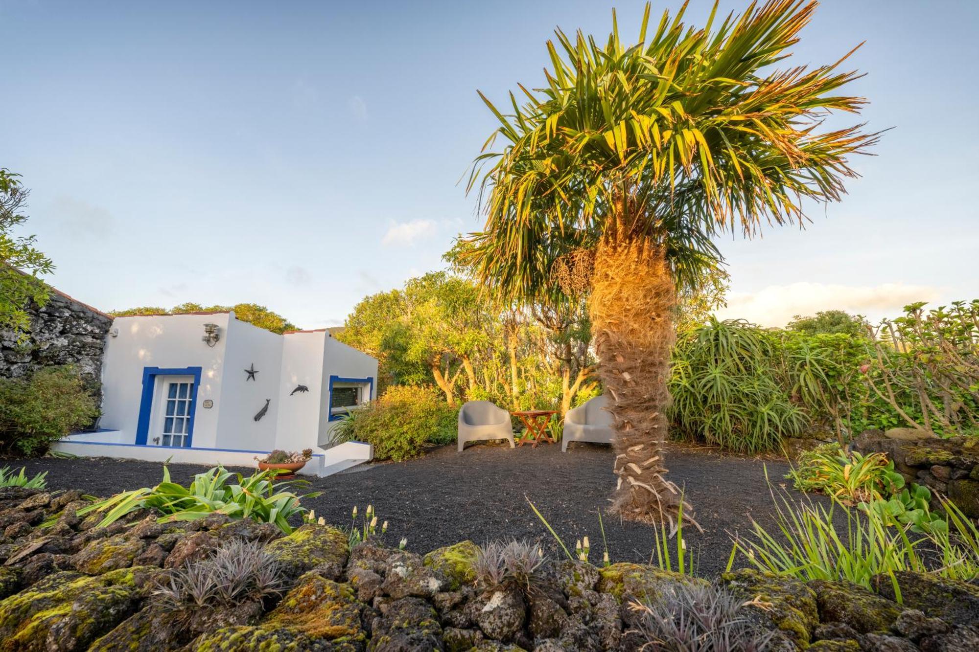 Bed and Breakfast O Zimbreiro Piedade  Exterior foto